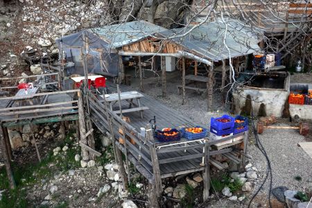 Tady si místní podnikavec postavil tree house.